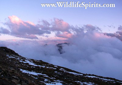 Click Picture to send as an  E-PostCard 28k 400x279